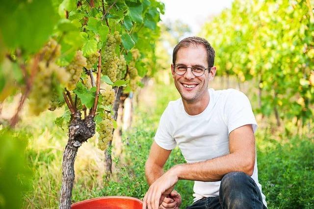 Das Weingut Ernst feiert sein 30-jhriges Bestehen gro in Wittlingen