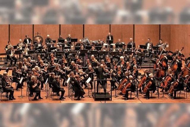 Drei niederlndische Orchester spielen Freiluftkonzerte in Freiburg