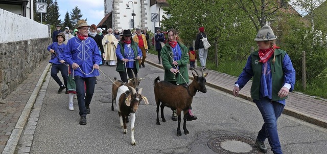 Ziegen voraus in Altglashtten: Die Pr...he St. Wendelin hinab zum Geienstall   | Foto: Heidrun Simoneit