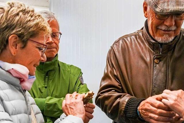 BZ Hautnah zu Gast beim Pilzhof Rein