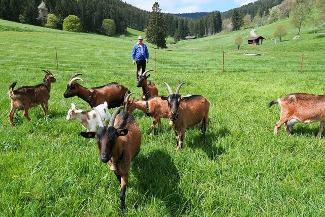 Nicht immer schtzt ein Vereinshelfer des Vereins die Tiere.  | Foto: Heidrun Simoneit