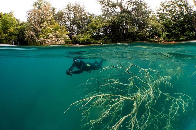 Beim Tauchen muss auf Vieles geachtet werden.  | Foto: Unterwasserwelten