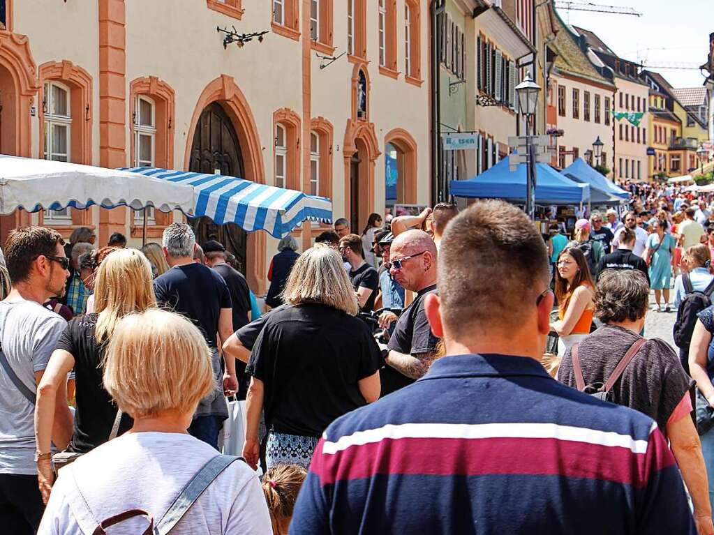 Groer Andrang herrschte auch bei der 17. Auflage des Endinger Bchermarktes an zwei Tagen in der Innenstadt.