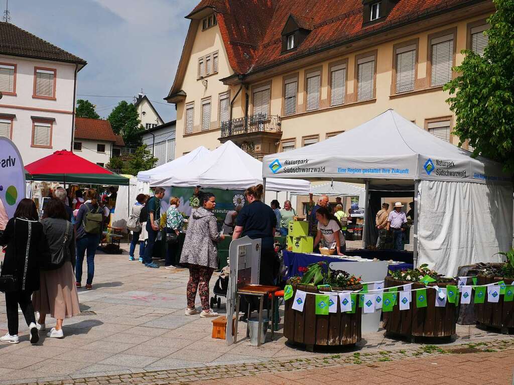 Bei schnem Wetter kamen zahlreiche Besucher auf den Talschulplatz und flanierten durch die Wehrer Hauptstrae.