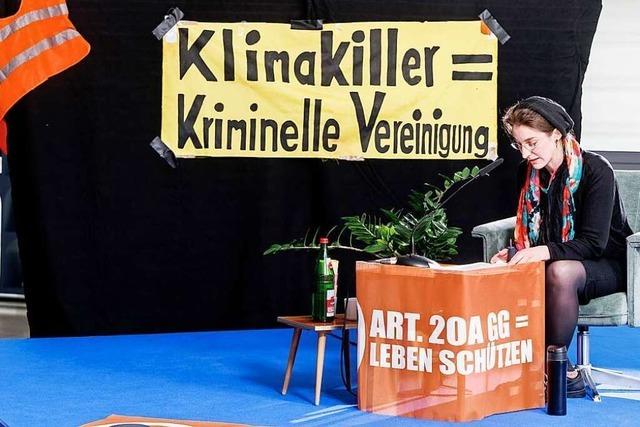 FDP will Schulen von Klimaaktivisten-Werbung schützen lassen
