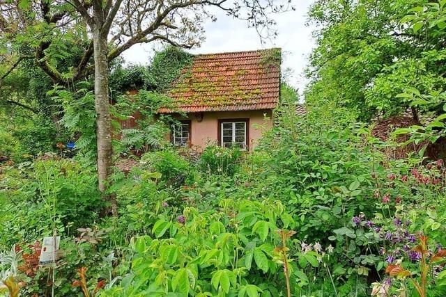 Dieses Grundstck in Simonswald ist ein Paradies fr Gartenliebhaber