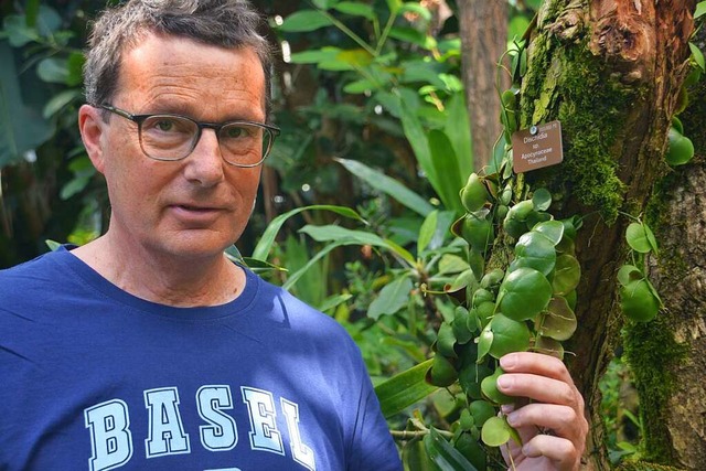 Bruno Erny &#8211; hier mit einer Disc...des Botanischen Gartens der Uni Basel.  | Foto: Savera Kang