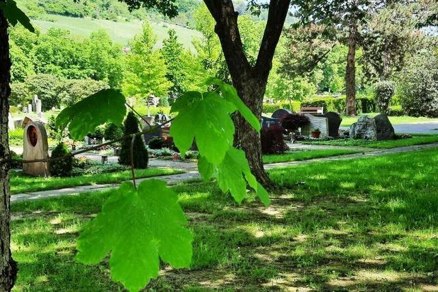 Der Weiler Hauptfriedhof ist so grün wie kaum ein anderer