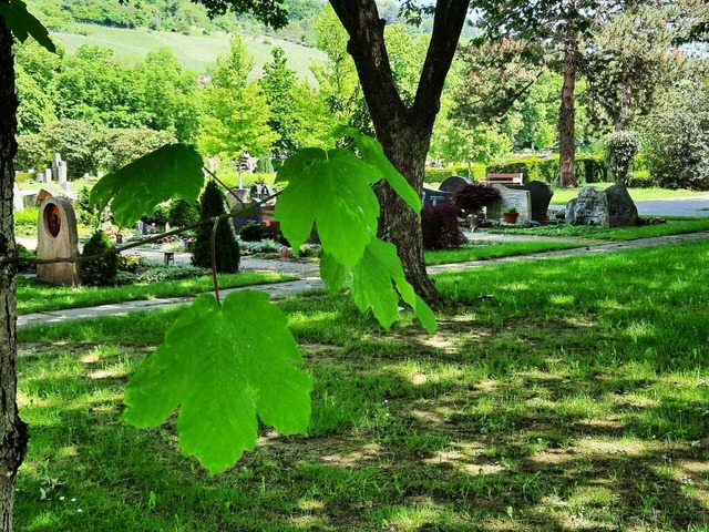 Wie ein Park wirkt in vielen Bereichen...dratmeter groer Weiler Hauptfriedhof.  | Foto: Hannes Lauber