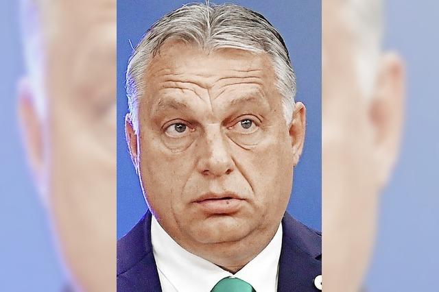 Orban will vor allem ein Anfhrer sein