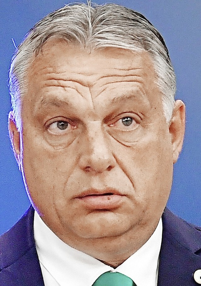 Viktor Orban  | Foto: John Thys (dpa)