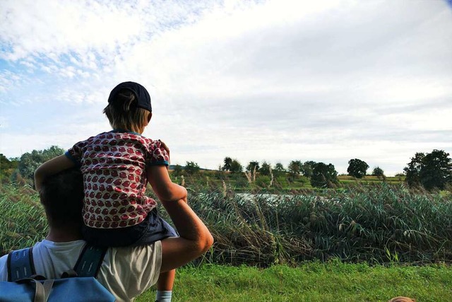 Wandern mit Kindern: Naturlehrpfad am Filmersbach  | Foto: Silke Kohlmann