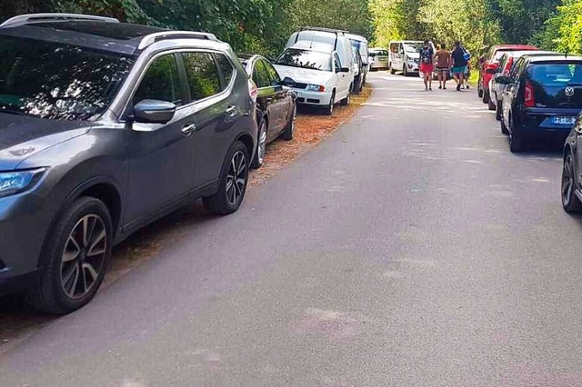 Wildes Parken entlang der Zufahrtsstrae zu dem Isteiner Schwellen  | Foto: Harald Sennekamp