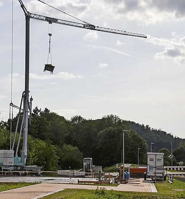 18 Bauherren wollen im ersten Bauabschnitt in Bollschweil bauen.  | Foto: Gabriele Hennicke