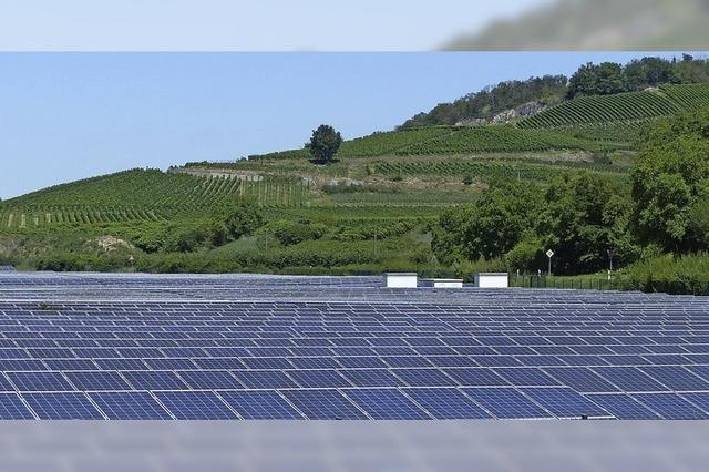 Rekordjahr für den Solarpark Vogtsburg