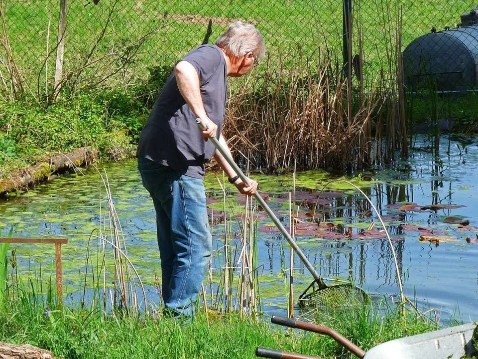 Mit der Bach- und Biotoppflege haben d...ll zu tun, aber auch Spa gehrt dazu.  | Foto: Aquarianer-Team Inzlingen