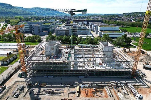 500-Millionen-Franken-Projekt: Der Lonza-Bau in Stein wächst zügig empor