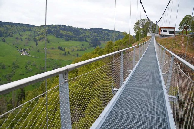 Die neue Hngebrcke von Todtnauberg i... unbersehbarer Eingriff in die Natur.  | Foto: Edgar Steinfelder