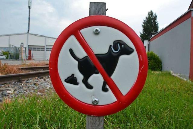 Stadt Lahr klagt über Hundekot auf Wegen – Pferdeäpfel sind selten ein Thema