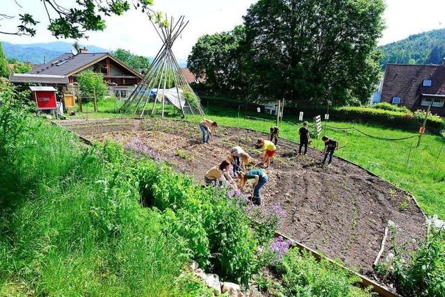Wie Grundschulkinder in Freiburg-Kappel Gemüse anbauen und Hühner versorgen