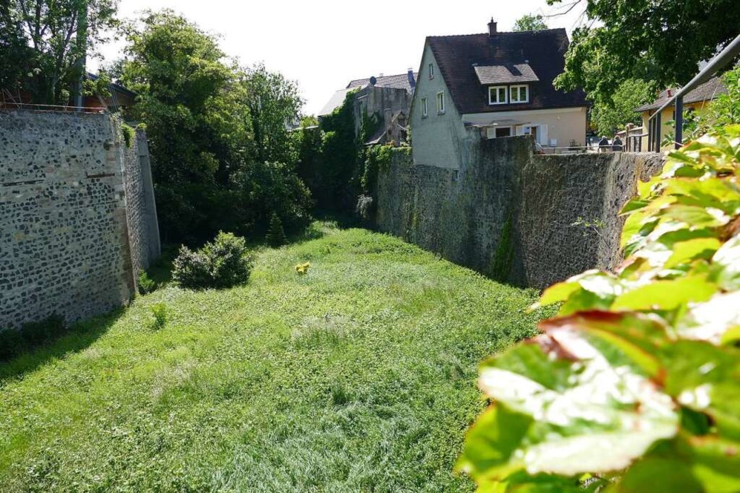 Der Burggraben ist seit vielen Jahren ... eine Brücke zur Burg (links) hinüber.  | Foto: Dirk Sattelberger