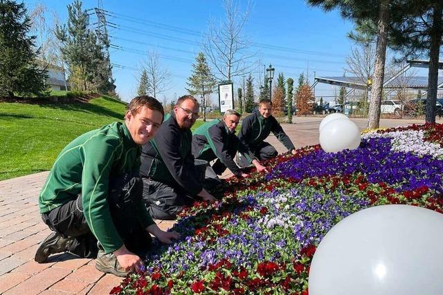 Im Europa-Park sorgen Gärtner für grüne Rückzugsorte