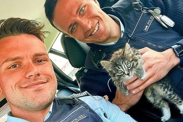 Polizei bremst Verkehr auf A5 bei Achern aus, um Katzenbaby zu retten