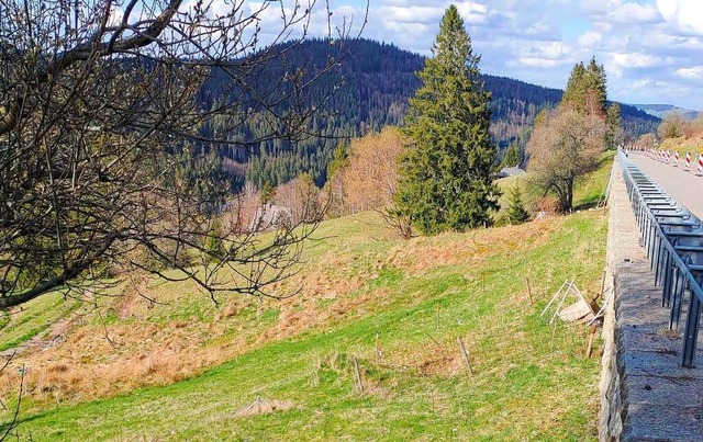 Wegen Schden an der Sttzmauer ist ei...erg-Brental und Caritashaus gesperrt.  | Foto: Regierungsprsidium Freiburg