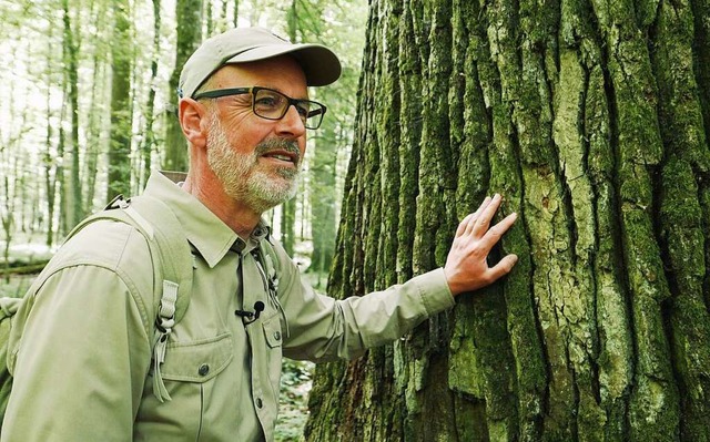 Der Mann, dem die Flora vertraut: Baum...r und Bestsellerautor Peter Wohlleben.  | Foto:  (dpa)