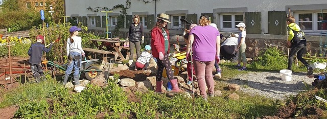 Emsiges Gewusel herrschte im Schulgarten, der derzeit neu angelegt wird.   | Foto: Sonja Niederer