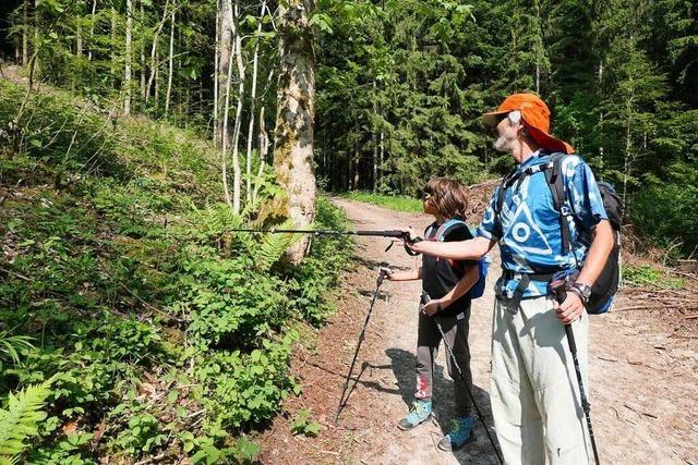 Viele Teilnehmer bei den Pfingstwandertagen in Bachheim