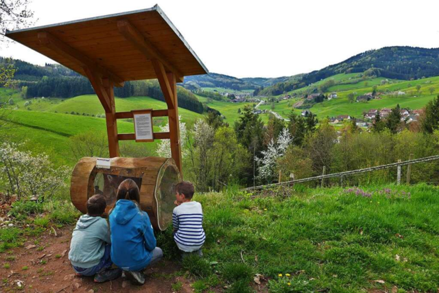 Der Seelbacher Waldspielweg ist ein Kraxelspa mit Weitblick