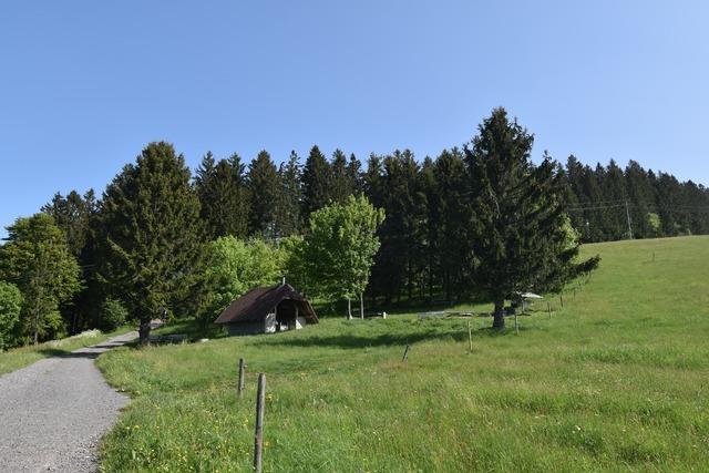 Grillhtte Ebene (Todtnauberg)
