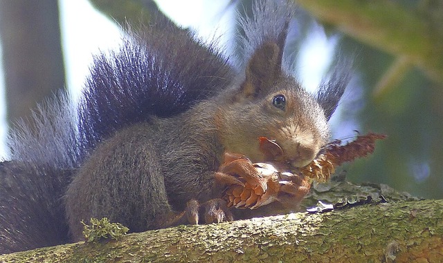   | Foto: Wolfgang Zengler