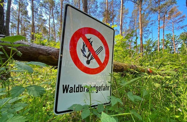 Rauchen ist im Wald absolut verboten.  | Foto: Julian Stratenschulte