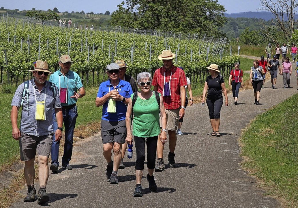 Beim kulinarischen Weinwandertag melde...ttzungsverein einen Teilnehmerrekord.  | Foto: Werner Schnabl