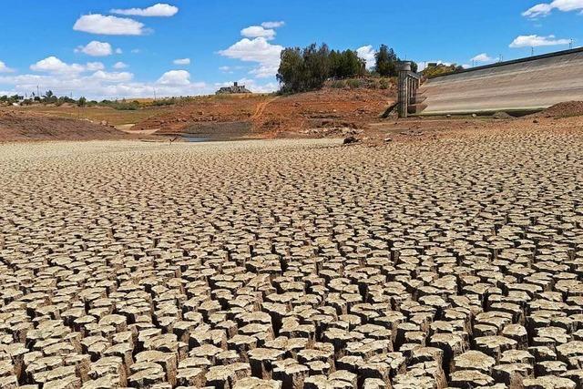 Wie Andalusien mit Trockenheit und Drre kmpft