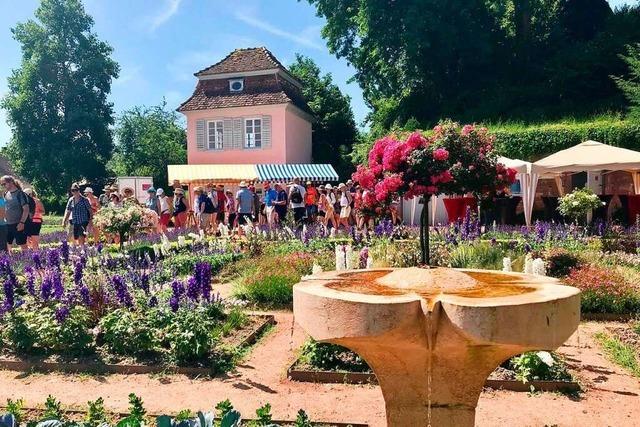 In Ettenheim steht ein Festwochenende bevor