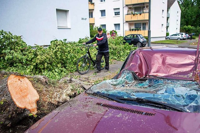 Ein Mann steht in Lippstadt in Nordrhe...nen umgestrzten Baum zerstrten Auto.  | Foto: Lino Mirgeler (dpa)