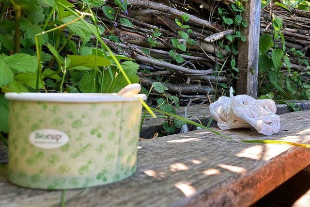 Eisbecher und ein Taschentuch liegen auf einer der Weidenbnke am Rhein.  | Foto: Annemarie Rsch