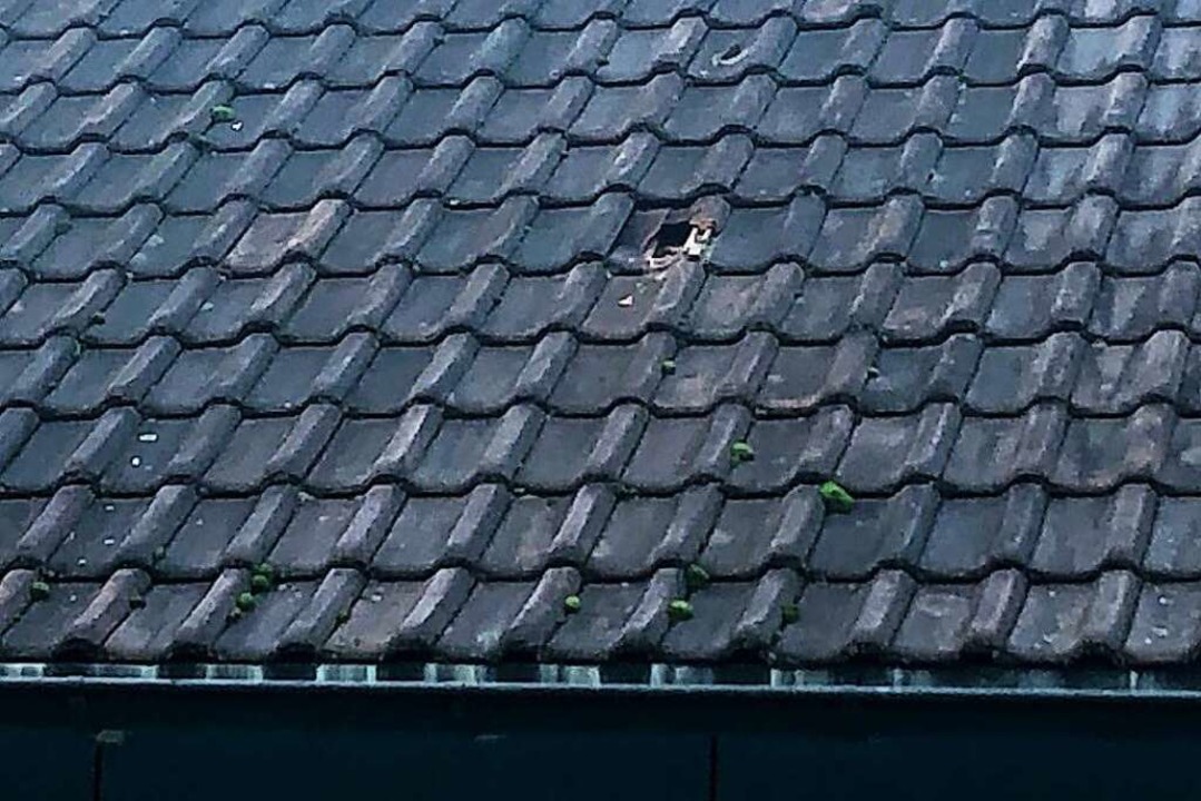 Immer wieder mssen Menschen in der Ma...n lassen. Die Tter bleiben unerkannt.  | Foto: Meyer