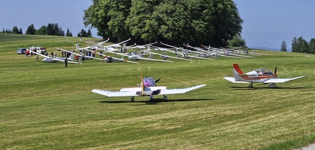 Aufgereiht zum Start: die Segelflugzeuge auf dem Flugplatz in Rickenbach-Htten  | Foto: Ramona Riesterer