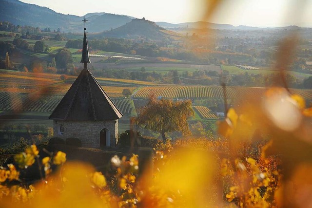 Rund um die lbergkapelle wachsen Pfla...hneeball oder das Einbltige Perlgras.  | Foto: Andrea Schiffner