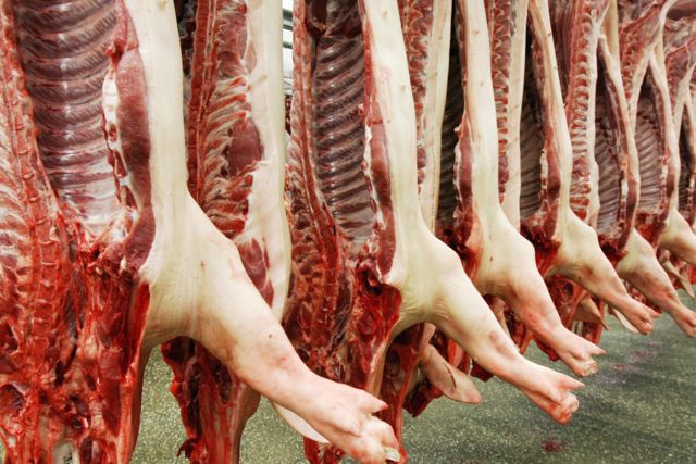 In Sdbaden gibt es zu wenig Schweine fr den Appetit der Verbraucher