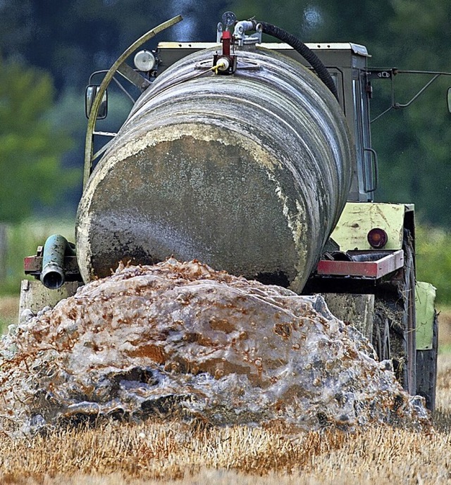 Zu viel Dngen ist schdlich.  | Foto: Patrick Pleul (dpa)