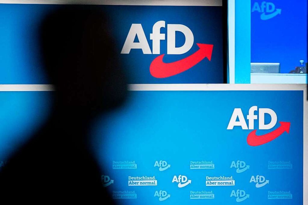 Auf Höhenflug: Die AfD zieht  in einer...nt an zweiter Stelle hinter der Union.  | Foto: JENS SCHLUETER (AFP)