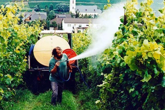 Winzer-Widerstand gegen europäische Pestizid-Pläne wächst