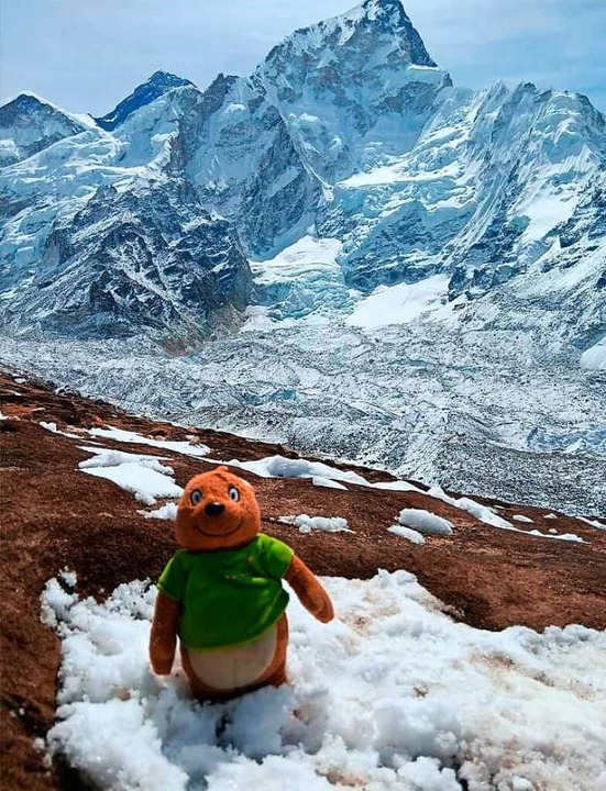 Bär Bobo war mit im Himalaya-Gebirge.  | Foto: Nico Schnaiker