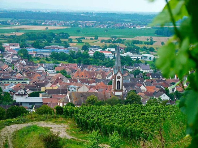 Die Weinbaugemeinde Ihringen will sich ein Klimaschutzkonzept geben.  | Foto: Dirk Sattelberger