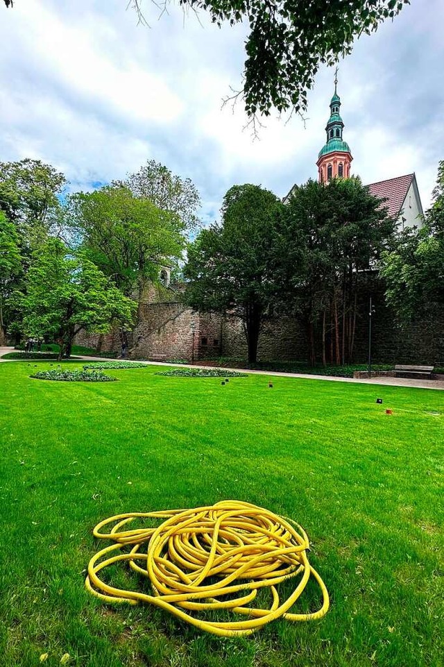 Der Zwingerpark wird von dieser Woche an wieder freigegeben.  | Foto: Helmut Seller